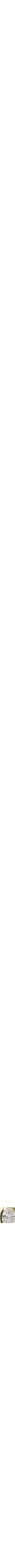 Assorti