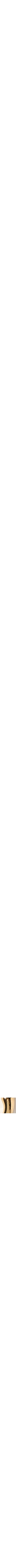 Jaune doré