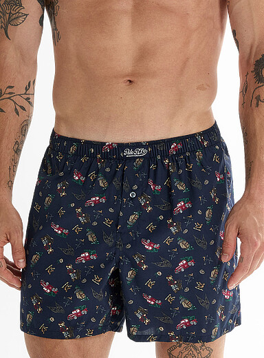 Winter teddy bear boxer Cotton