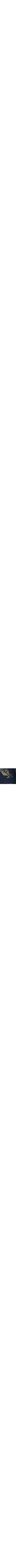 Bleu à motifs