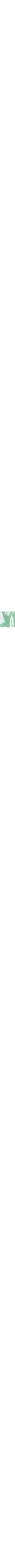 Vert à motifs