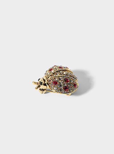 Shimmery ladybug brooch