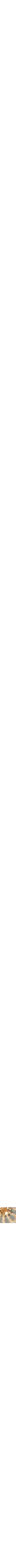 Assorti
