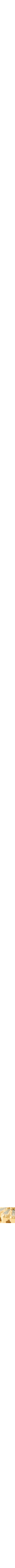 Assorti