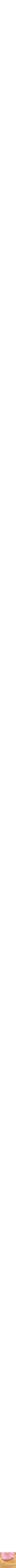 Assorti