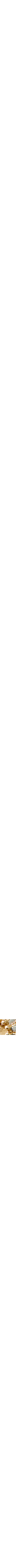 Assorti