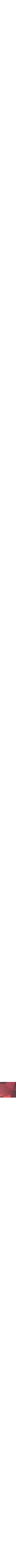 Rouge à motifs
