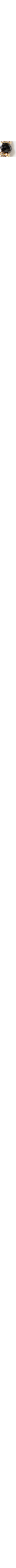 Noir à motifs