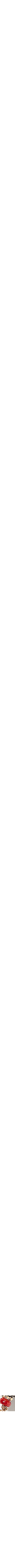 Orange à motifs