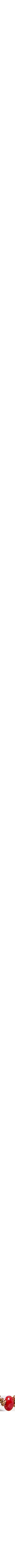 Orange à motifs