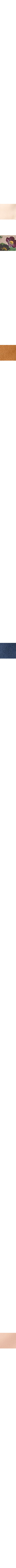Ambre