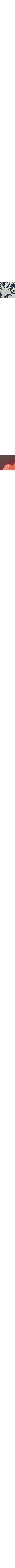 Brun à motifs