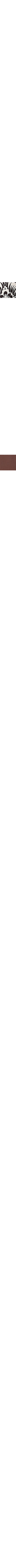 Brun à motifs