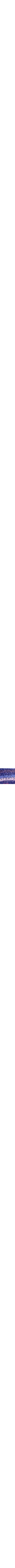 Patterned Blue