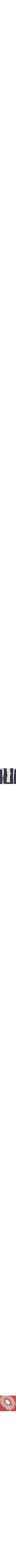 Patterned navy