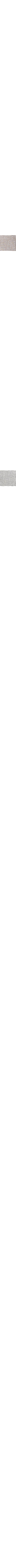 Patterned Ecru