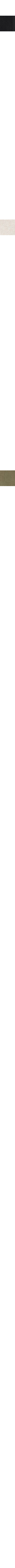 Ecru/Linen