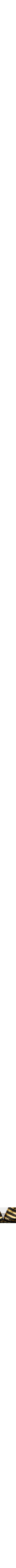 Doré et noir