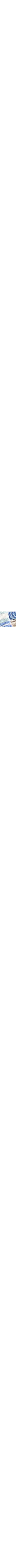 Vert à motifs