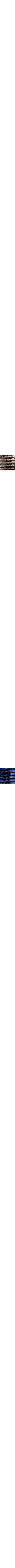 Brun à motifs