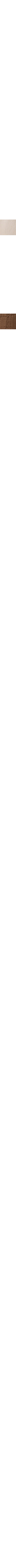 Écru - Lin