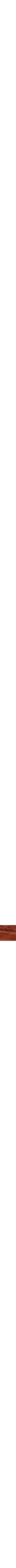 Pourpre à motifs