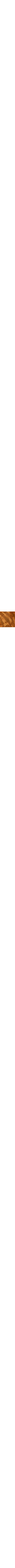 Vert à motifs