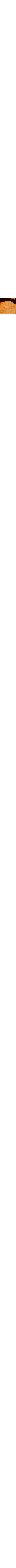 Noir à motifs