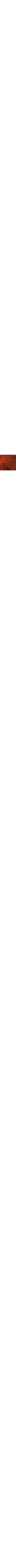 Brun à motifs