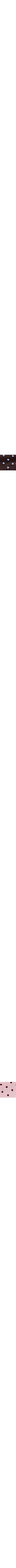Brun à motifs