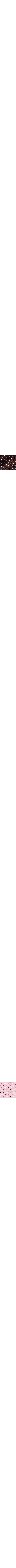 Brun à motifs