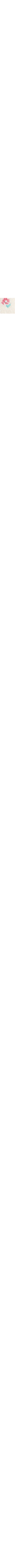 Blanc à motifs