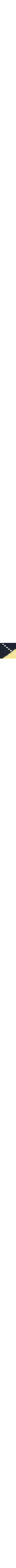 Bleu à motif