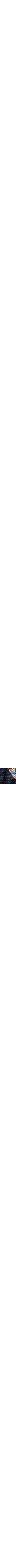 Patterned Blue