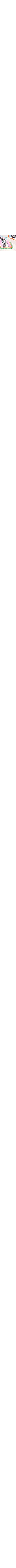 Patterned Ecru