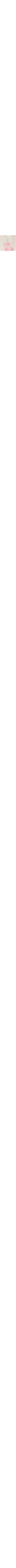 Écru à motifs