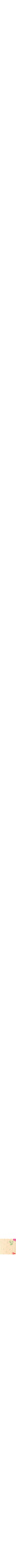 Jaune à motifs