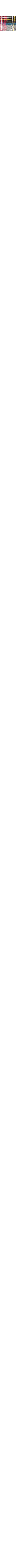 Rouge à motifs