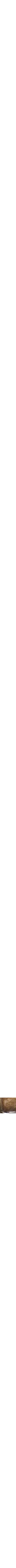 Jaune doré