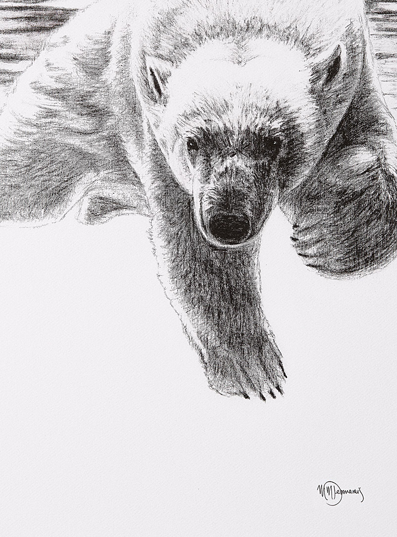Le NID atelier: Le trio d'affiches Ours polaire dans tous ses états 2 formats offerts Noir assorti