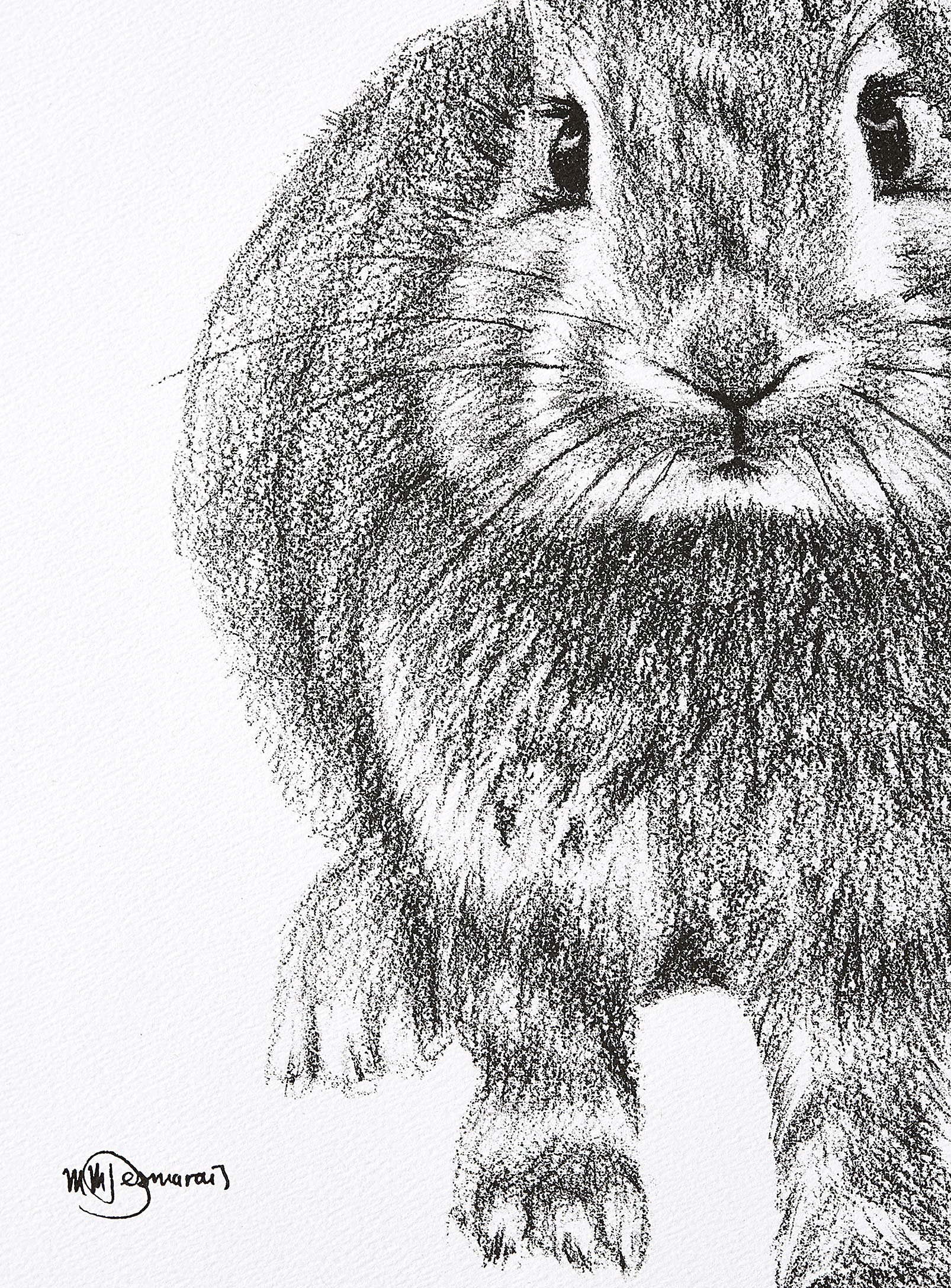 Le NID atelier - duo d'affiches Adorables lapins Voir nos formats offerts