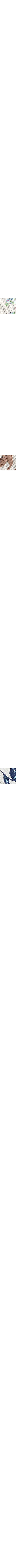 Blanc à motifs
