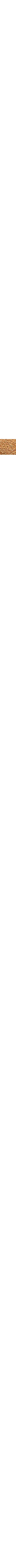 Brun pâle