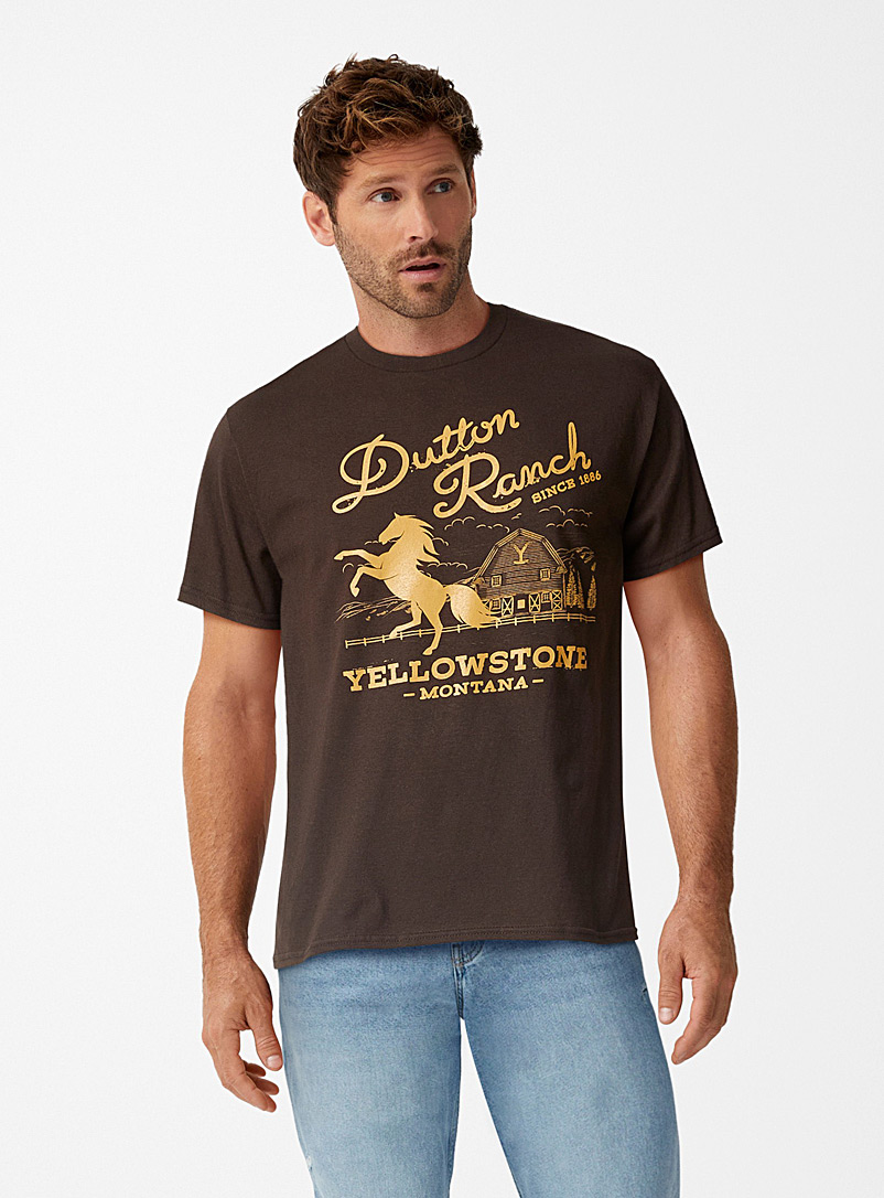 Le 31 Brown Yellowstone T-shirt for men
