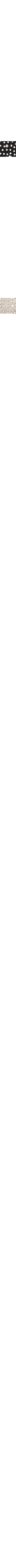 Noir à motifs