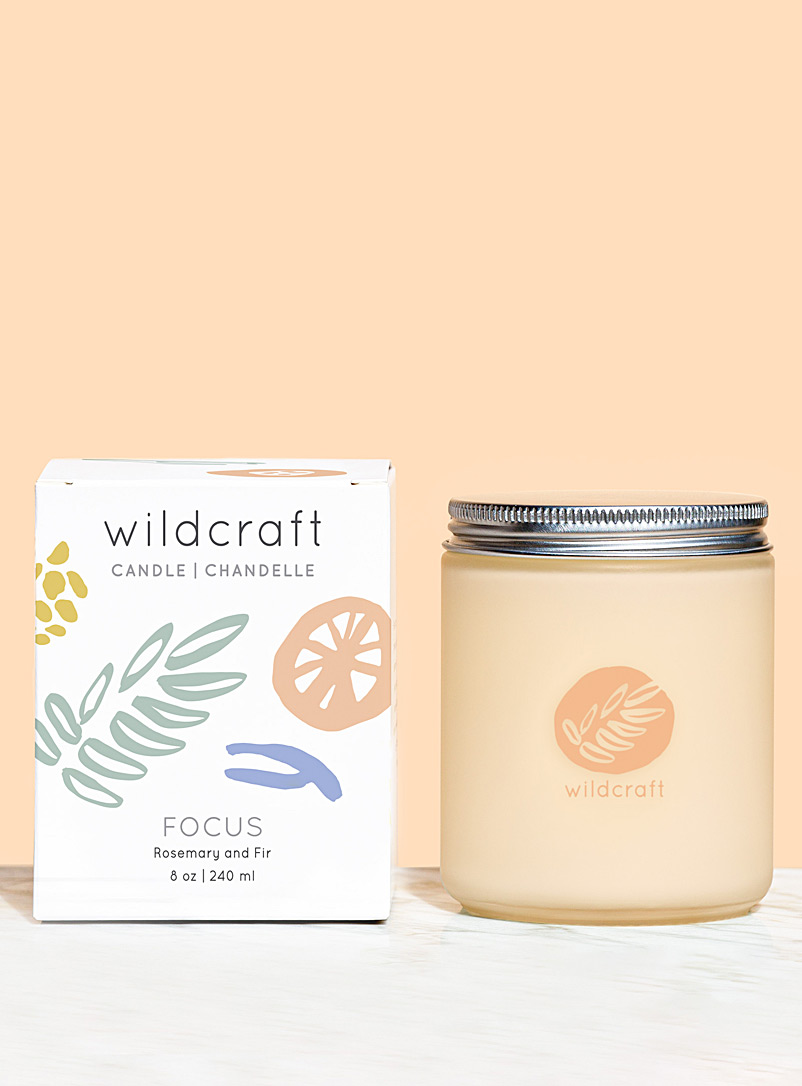 Wildcraft Care Assorted Focus scented candle Rosemary and balsam fir