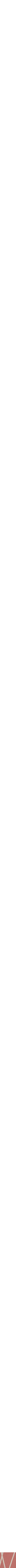 Assorti
