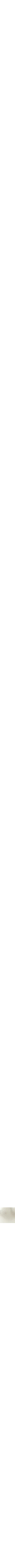 Assorti