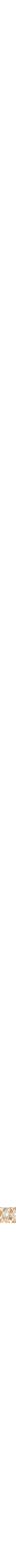 Assorti