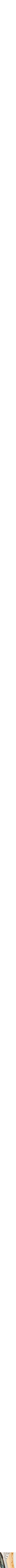 Assorti